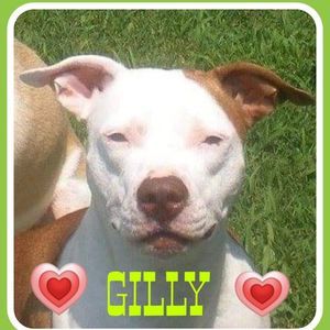 Meet your Posher, Ralph